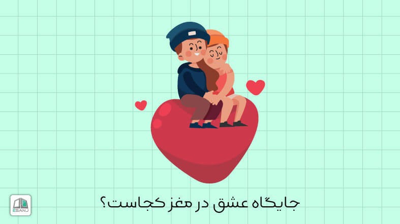 جایگاه عشق در مغز کجاست؟