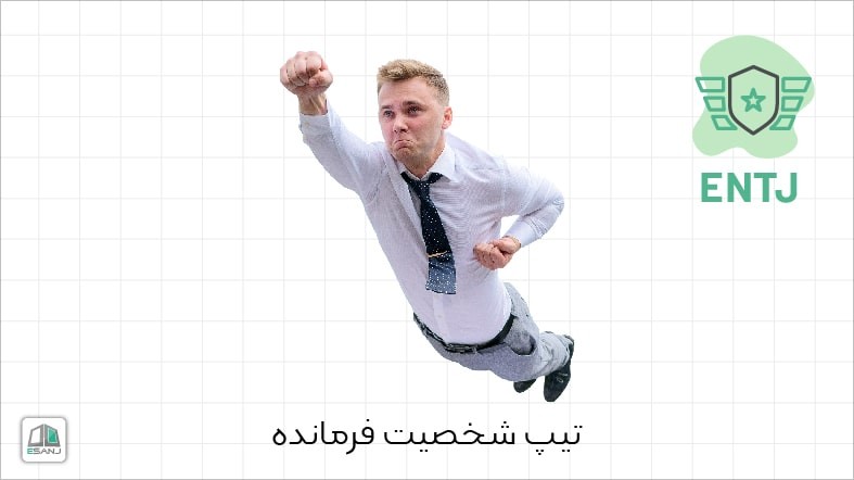 اینفوگرافی تیپ شخصیت ENTJ