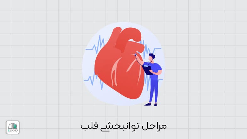 مراحل توانبخشی قلب