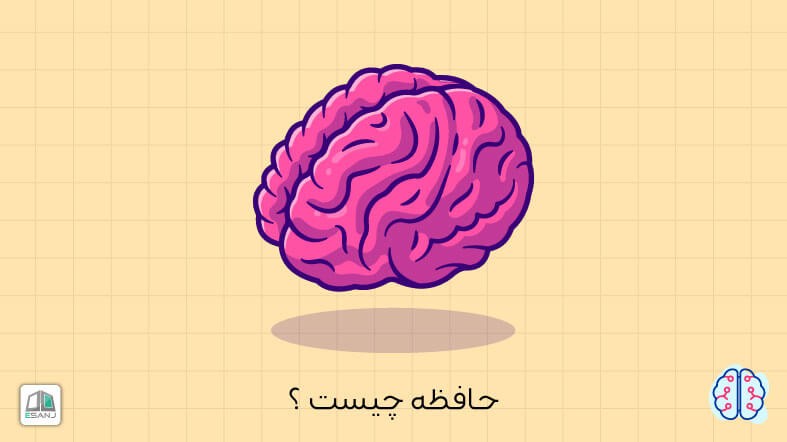 حافظه چیست؟ | انواع حافظه، فراموشی و تقویت حافظه