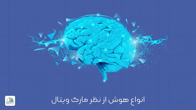 انواع هوش از نظر مارک ویتال