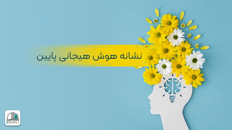 20 نشانه هوش هیجانی پایین