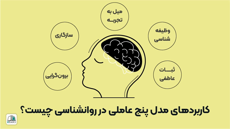 کاربردهای مدل پنج عاملی در روانشناسی