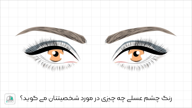 رنگ چشم میشی چه چیزی درباره شخصیت تان می گوید؟