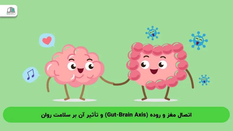 اتصال مغز و روده (Gut-Brain Axis) و تأثیر آن بر سلامت روان