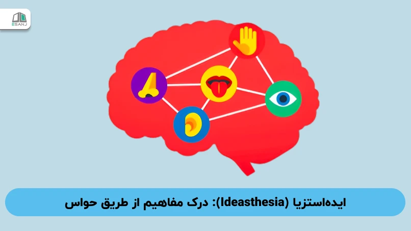 ایده‌استزیا (Ideasthesia): درک مفاهیم از طریق حواس