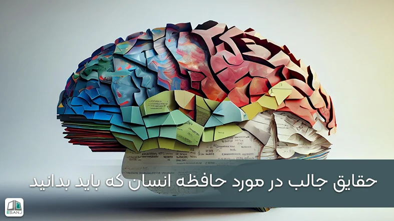 23 حقیقت جالب در مورد حافظه انسان که باید بدانید