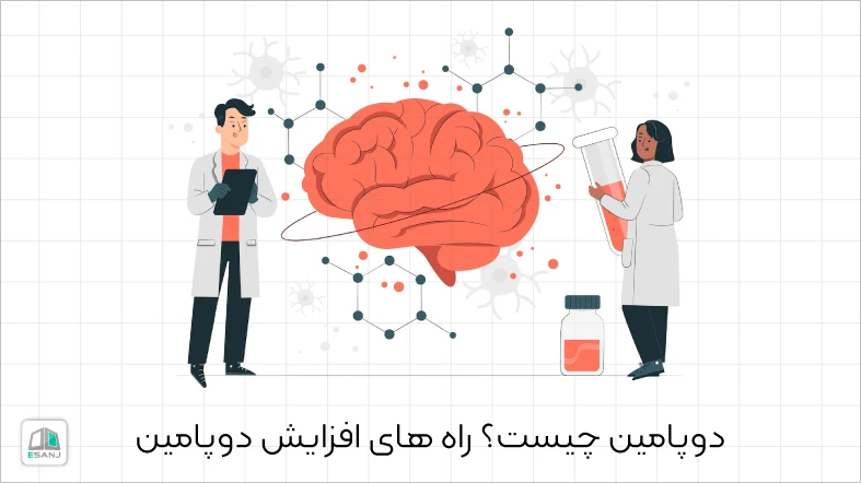 دوپامین چیست؟ راه های افزایش دوپامین