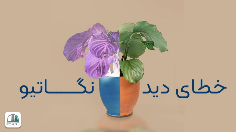 خطای دید نگاتیو