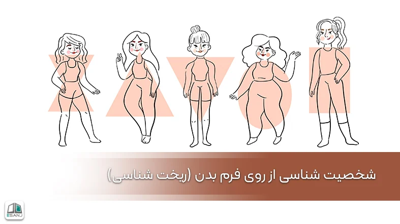 شناخت شخصیت از روی فرم بدن (ریخت شناسی)