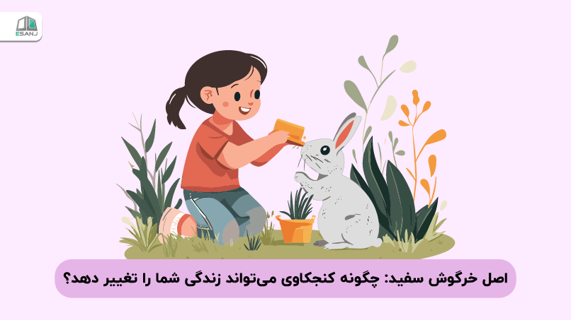 اصل خرگوش سفید: چگونه کنجکاوی میتواند زندگی شما را تغییر دهد؟