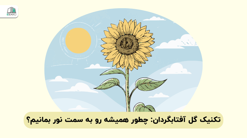 تکنیک گل آفتابگردان: چطور همیشه رو به سمت نور بمانیم؟