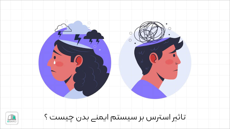 تاثیر استرس بر سیستم ایمنی بدن چیست؟