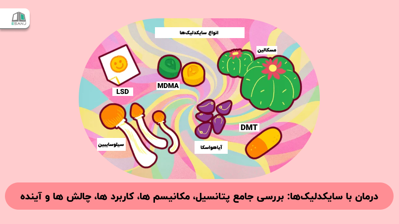 درمان با سایکدلیکها: بررسی جامع پتانسیل، مکانیسمها، کاربردها، چالشها و آینده