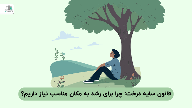 قانون سایه درخت: چرا برای رشد به مکان مناسب نیاز داریم؟