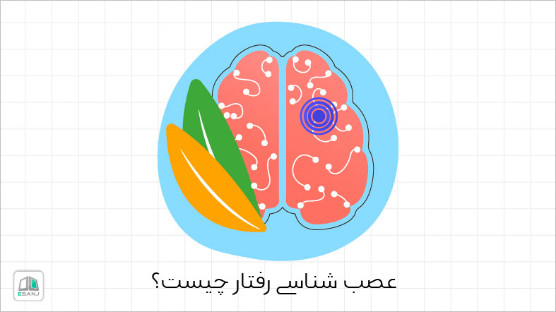 عصب شناسی رفتار چیست؟