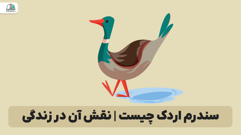 سندرم اردک چیست | نقش آن در زندگی
