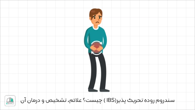 سندروم روده تحریک پذیر (IBS) چیست؟ علائم، تشخیص و درمان آن