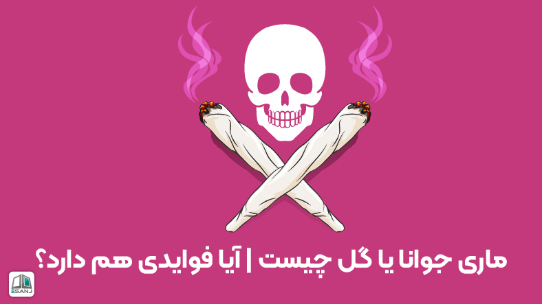 ماری جوانا یا گل چیست | آیا فوایدی هم دارد؟