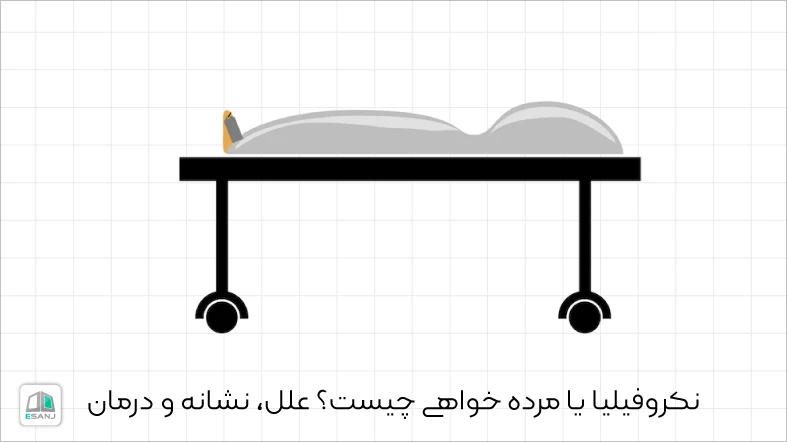 نکروفیلیا یا مرده خواهی چیست؟ علل، نشانه و درمان