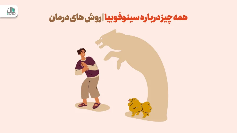 همه چیز درباره سینوفوبیا | روش های درمان